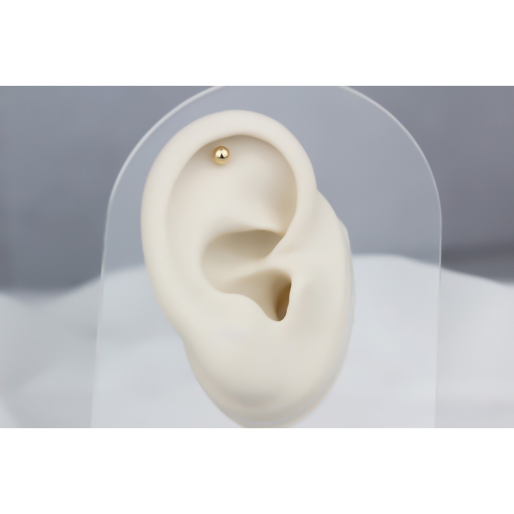 Glorria Altın Top Helix Piercing