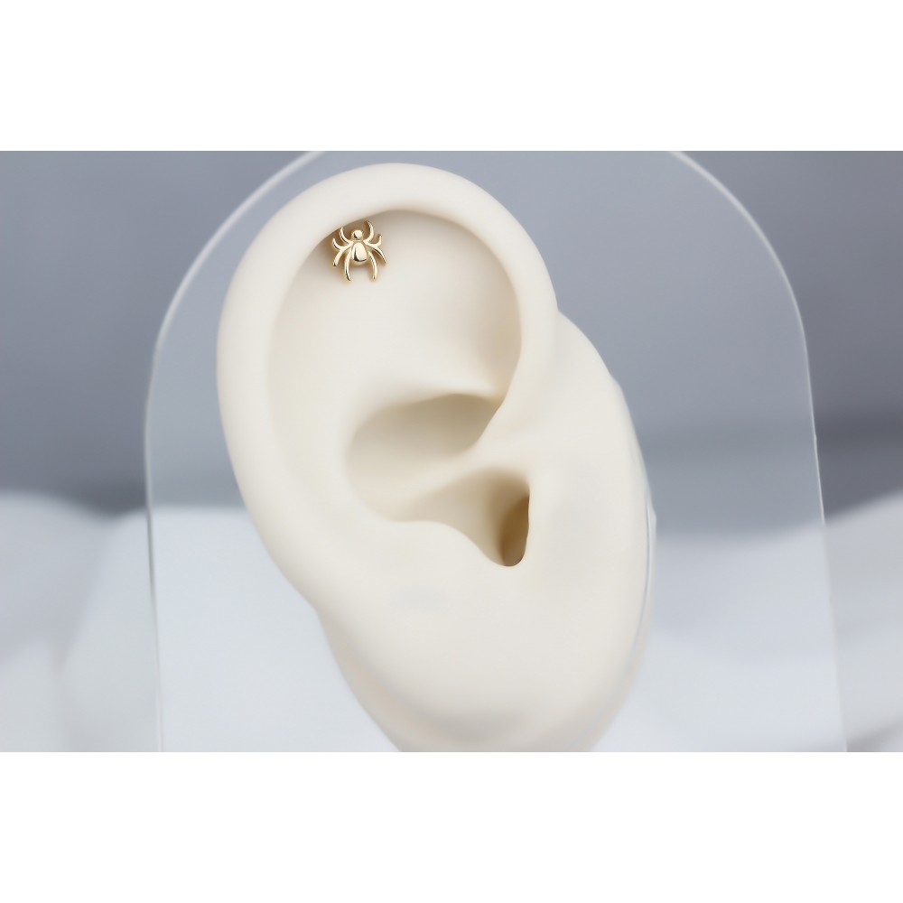 Glorria Altın Örümcek Helix Piercing