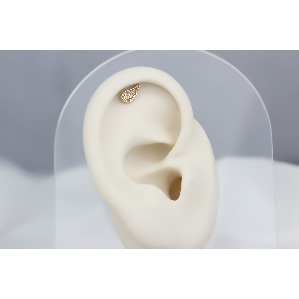 Glorria Altın Melek Kanadı Helix Piercing