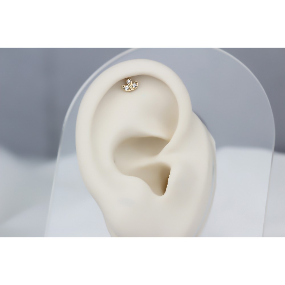 Glorria Altın Çiçek Helix Piercing