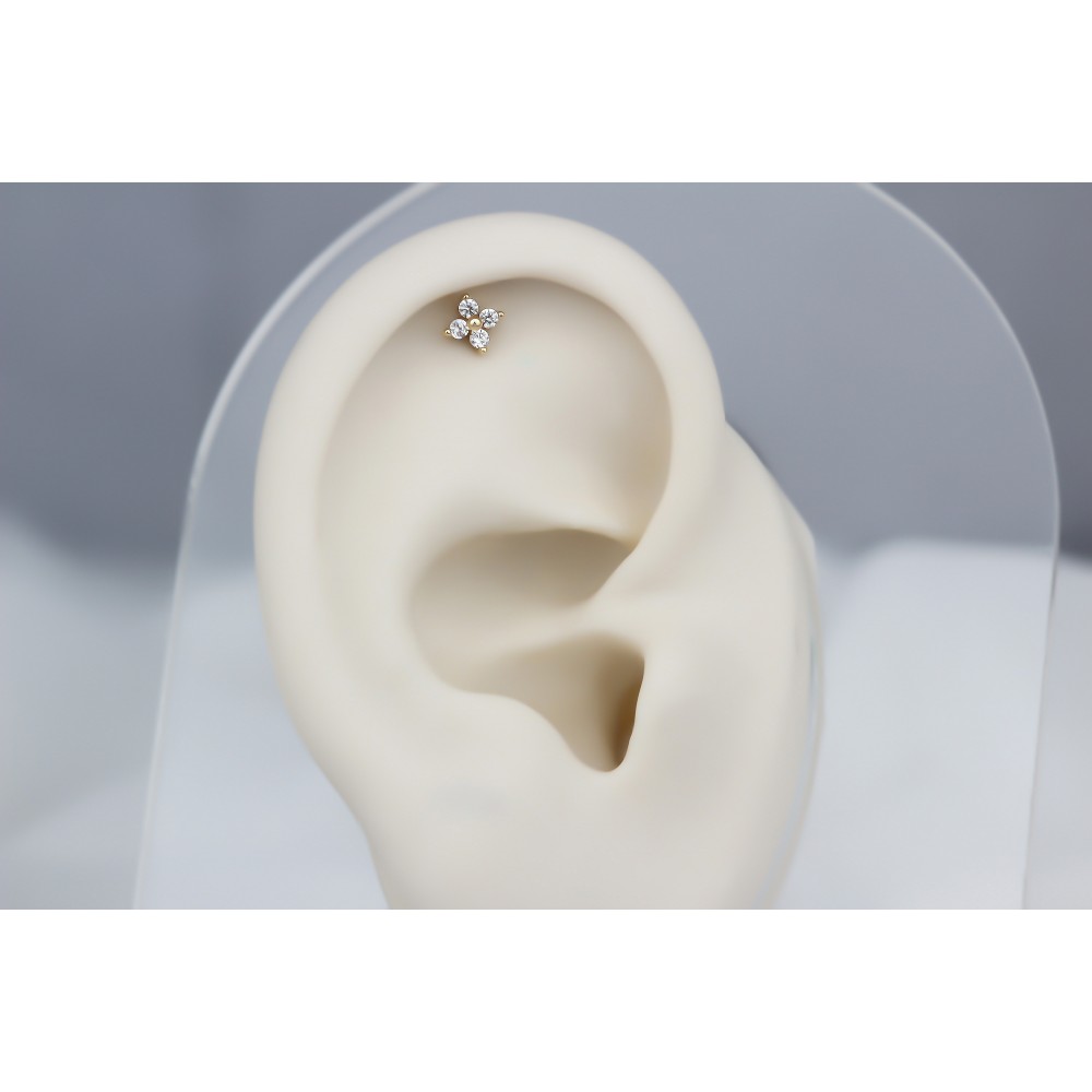 Glorria Altın Yonca Helix Piercing