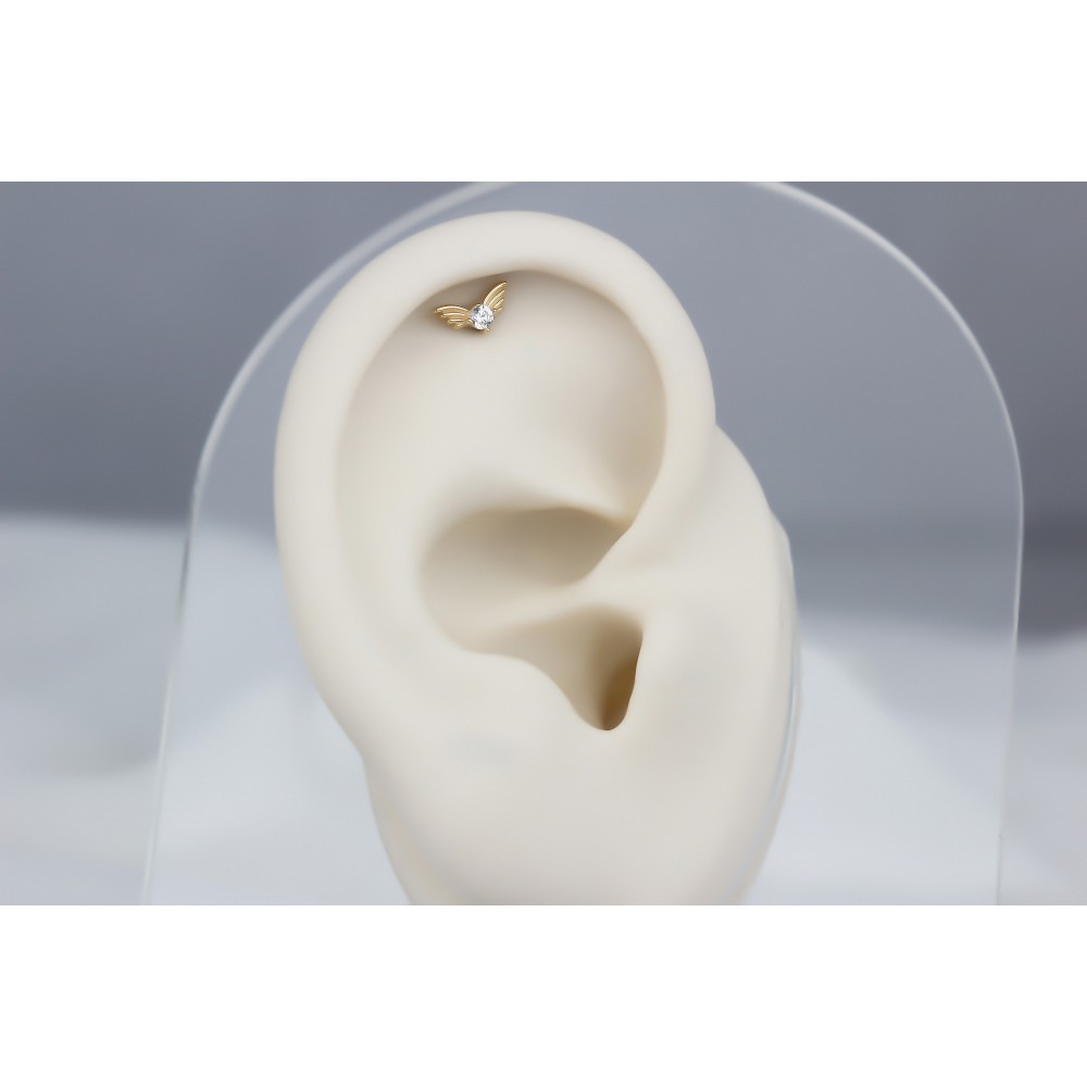 Glorria Altın Melek Kanadı Helix Piercing