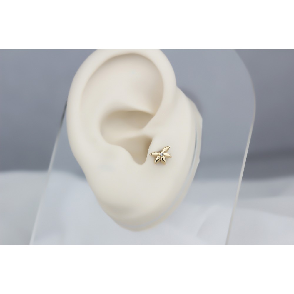 Glorria Altın Yonca Tragus Piercing